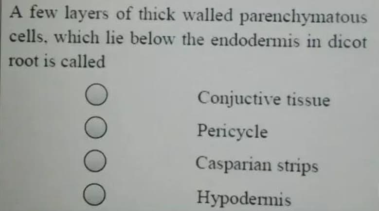 A few layers of thick walled parenchymatous
cells, which lie below the endodermis in dicot
root is called
Conjuctive tissue
Pericycle
Casparian strips
Hypodermis
