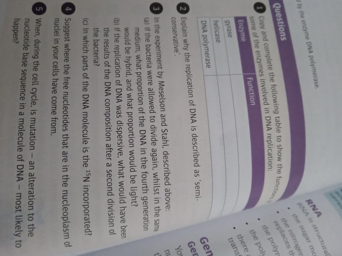 d by the enzyme DNA polymerase.
ack
carried
Questions
RNA
RNA is structural
the sugar mo
the nitroger
replaces th
Enzyme
Function
gyrase
the polyr
helicase
the poly
DNA polymerase
there
2 Explain why the replication of DNA is described as 'semi-
transt
conservative'.
3 In the experiment by Meselson and Stahl, described above:
(a) If the bacteria were allowed to divide again, whilst in the same
medium, what proportion of the DNA in the fourth generation
would be hybrid, and what proportion would be light?
(b) If the replication of DNA was dispersive, what would have been
the results of the DNA composition after a second division of
the bacteria?
(c) In which parts of the DNA molecule is the 15N incorporated?
Gen
Ger
Yo
nu
4 Suggest where the free nucleotides that are in the nucleoplasm of
nuclei in your cells have come from.
5 When, during the cell cycle, is mutation - an alteration to the
nucleotide base sequence in a molecule of DNA - most likely to
happen?
some of the in replication:
Copy and the table to the functions
