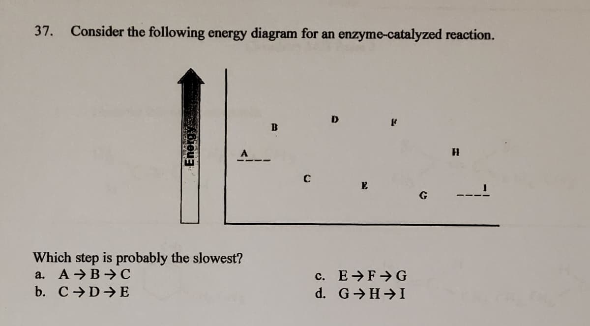 37. Consider the following energy diagram for an enzyme-catalyzed reaction.
D
B
A
C
E
G
Which step is probably the slowest?
a. A →B →C
b. C D E
c. E F G
d. G H I

