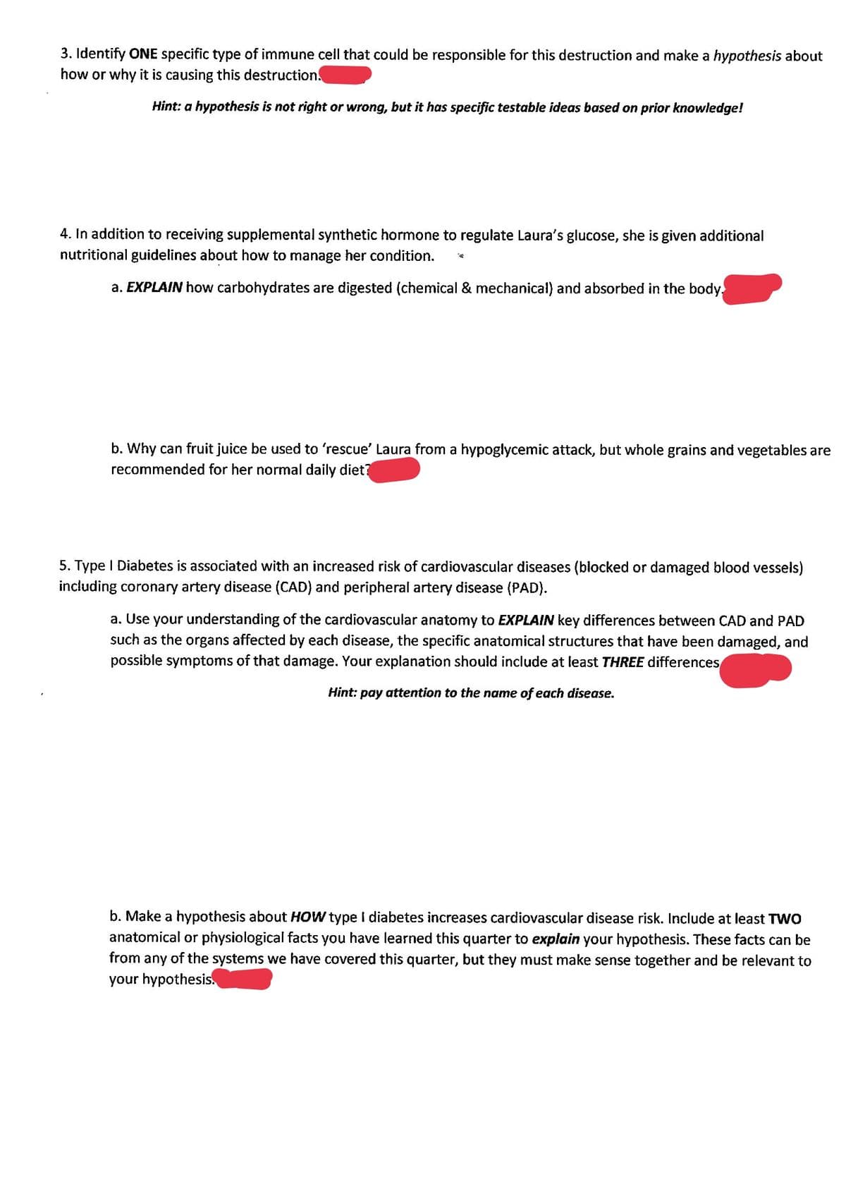 3. Identify ONE specific type of immune cell that could be responsible for this destruction and make a hypothesis about
how or why it is causing this destruction.
Hint: a hypothesis is not right or wrong, but it has specific testable ideas based on prior knowledge!
4. In addition to receiving supplemental synthetic hormone to regulate Laura's glucose, she is en additional
nutritional guidelines about how to manage her condition.
a. EXPLAIN how carbohydrates are digested (chemical & mechanical) and absorbed in the body.
b. Why can fruit juice be used to 'rescue' Laura from a hypoglycemic attack, but whole grains and vegetables are
recommended for her normal daily diet?
5. Type I Diabetes is associated with an increased risk of cardiovascular diseases (blocked or damaged blood vessels)
including coronary artery disease (CAD) and peripheral artery disease (PAD).
a. Use your understanding of the cardiovascular anatomy to EXPLAIN key differences between CAD and PAD
such as the organs affected by each disease, the specific anatomical structures that have been damaged, and
possible symptoms of that damage. Your explanation should include at least THREE differences
Hint: pay attention to the name of each disease.
b. Make a hypothesis about HOW type I diabetes increases cardiovascular disease risk. Include at least TWO
anatomical or physiological facts you have learned this quarter to explain your hypothesis. These facts can be
from any of the systems we have covered this quarter, but they must make sense together and be relevant to
your hypothesis.