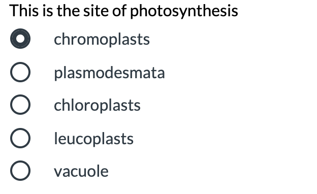 This is the site of photosynthesis
chromoplasts
plasmodesmata
O chloroplasts
O leucoplasts
O vacuole
