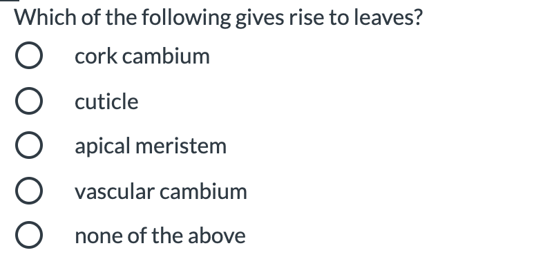 Which of the following gives rise to leaves?
O cork cambium
O cuticle
O apical meristem
O vascular cambium
O none of the above
O O
