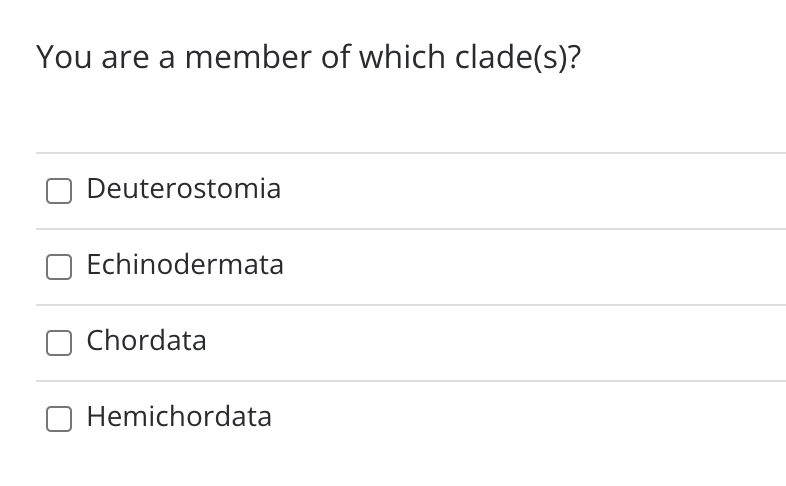 You are a member of which clade(s)?
Deuterostomia
Echinodermata
O Chordata
Hemichordata

