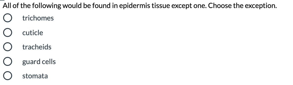 All of the following would be found in epidermis tissue except one. Choose the exception.
O trichomes
O cuticle
O tracheids
O guard cells
O stomata
