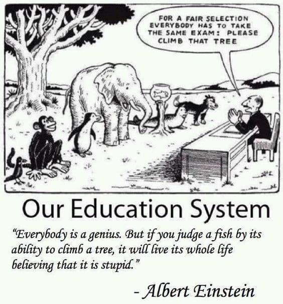 FOR A FAIR SELECTION
EVERYBODY HAS TO TAKE
THE SAME EXAM: PLEASE
CLIMB THAT TREE
Our Education System
"Everybody is a genius. But if you judge a fish by its
ability to climb a tree, it will live its whole life
believing that it is stupid."
- Albert Einstein
