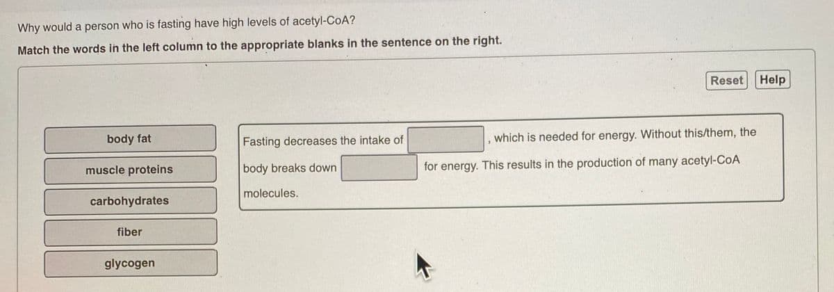 Why would a person who is fasting have high levels of acetyl-CoA?
Match the words in the left column to the appropriate blanks in the sentence on the right.
body fat
Fasting decreases the intake of
muscle proteins
body breaks down
molecules.
carbohydrates
fiber
glycogen
Reset
which is needed for energy. Without this/them, the
for energy. This results in the production of many acetyl-CoA
Help