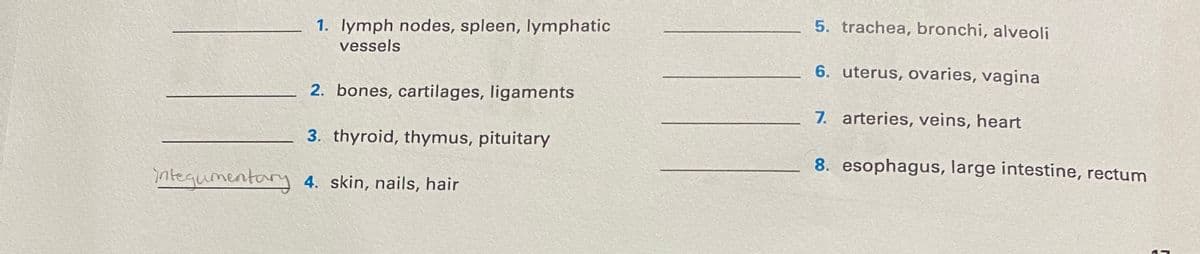 1. lymph nodes, spleen, lymphatic
vessels
2. bones, cartilages, ligaments
3. thyroid, thymus, pituitary
integumentary 4. skin, nails, hair
5. trachea, bronchi, alveoli
6. uterus, ovaries, vagina
7. arteries, veins, heart
8. esophagus, large intestine, rectum
1