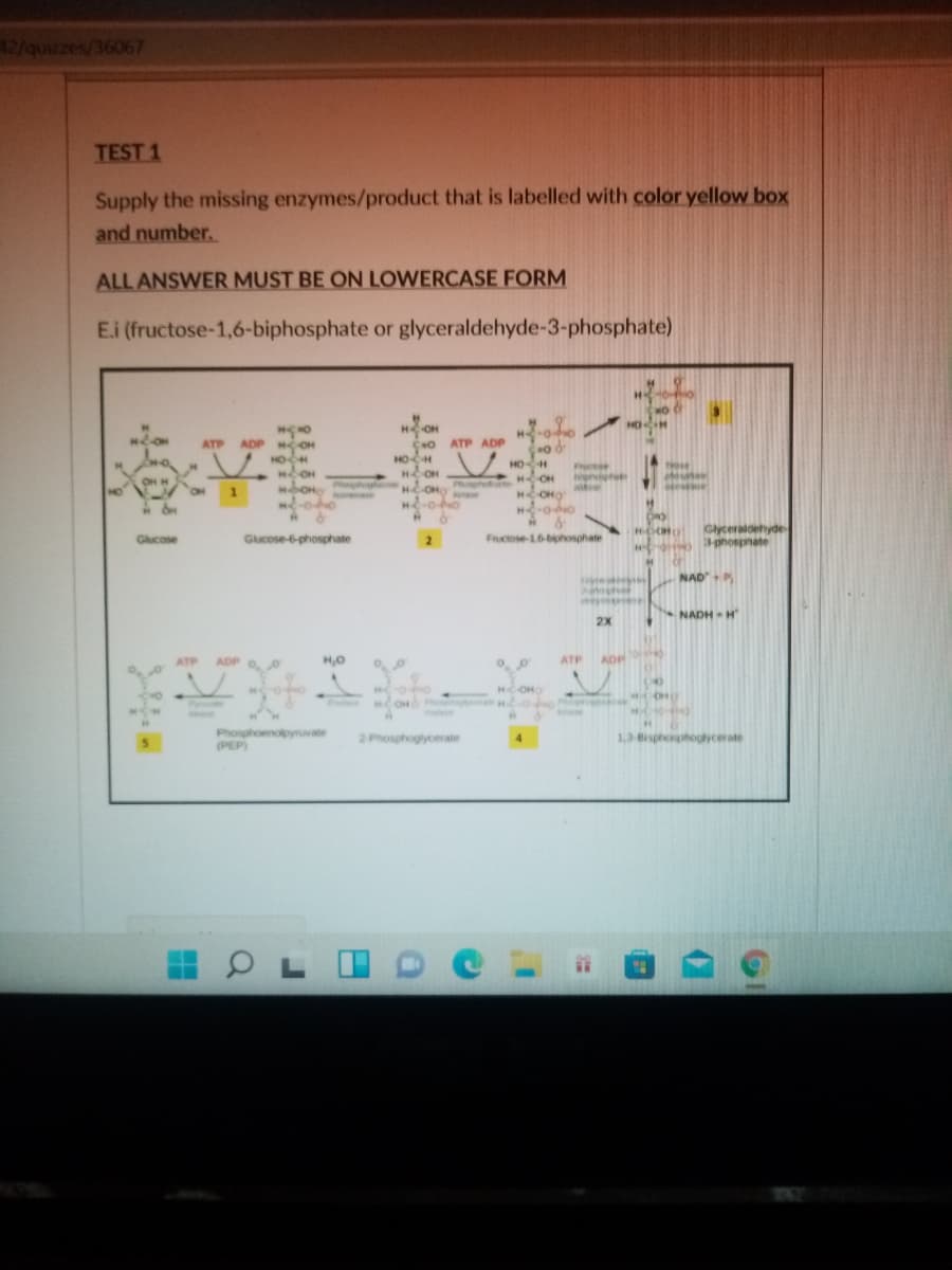 42/quizzes/36067
TEST 1
Supply the missing enzymes/product that is labelled with color yellow box
and number.
ALL ANSWER MUST BE ON LOWERCASE FORM
E.i (fructose-1,6-biphosphate or glyceraldehyde-3-phosphate)
HOH
ADP HOH
HOH
CO ATP ADP
HOH
ATP
HOH
O,
HC-OHO
Phonphohurts
esse
HO
1.
Glyceraldehyde
3phospnate
Glucose
Gucose-6-phosphate
Fructose-16-biphosphate
NADP
NADH H
ATP
ADP o. 0
H,0
ATP
ADP
CHO
OH
Ase
Phosphoenopynuvate
(PEP)
2Phosphoglycerate
1,3-Bisphonptoglycerate
