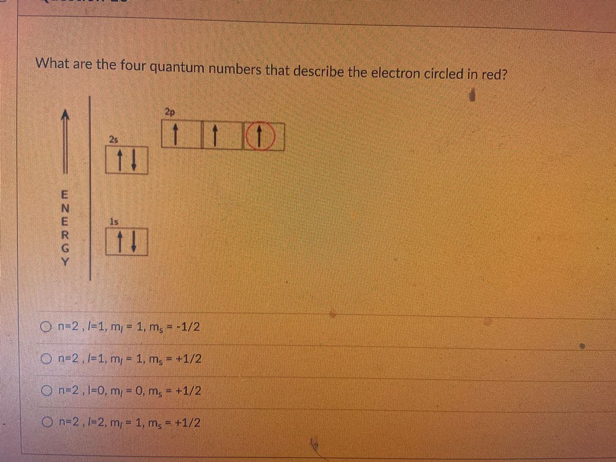 What are the four quantum numbers that describe the electron circled in red?
2p
1 (0
2s
11
11
On=2,1-1, my= 1, m, -1/2
O n=2, =1, m= 1, m, - +1/2
On=2,1-0, m 0, m, - +1/2
n=2,1-2, m, = 1, m, = +1/2
