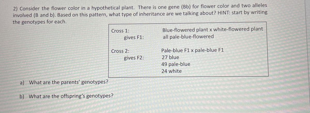2) Consider the flower color in a hypothetical plant. There is one gene (Bb) for flower color and two alleles
involved (B and b). Based on this pattern, what type of inheritance are we talking about? HINT: start by writing
the genotypes for each.
Cross 1:
gives F1:
Cross 2:
What are the parents' genotypes?
b) What are the offspring's genotypes?
gives F2:
Blue-flowered plant x white-flowered plant
all pale-blue-flowered
Pale-blue F1 x pale-blue F1
27 blue
49 pale-blue
24 white