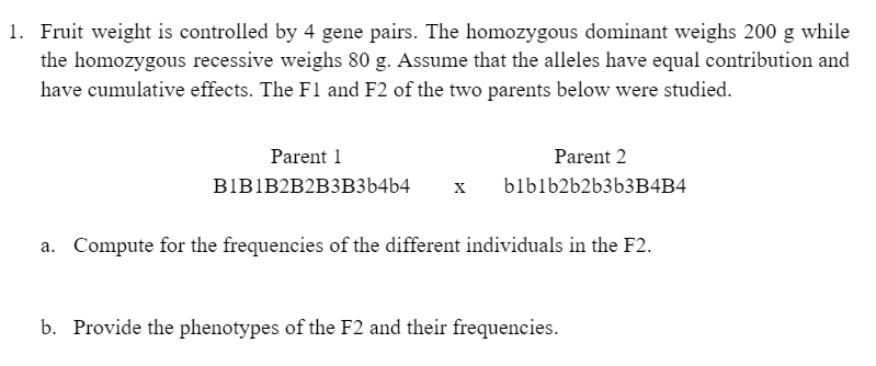 1. Fruit weight is controlled by 4 gene pairs. The homozygous dominant weighs 200 g while
the homozygous recessive weighs 80 g. Assume that the alleles have equal contribution and
have cumulative effects. The F1 and F2 of the two parents below were studied.
Parent 1
Parent 2
BIBIB2B2B3B36464
х blbb262ьзьзв4B4
a. Compute for the frequencies of the different individuals in the F2.
b. Provide the phenotypes of the F2 and their frequencies.
