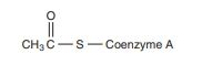 CH3C-S-Coenzyme A
