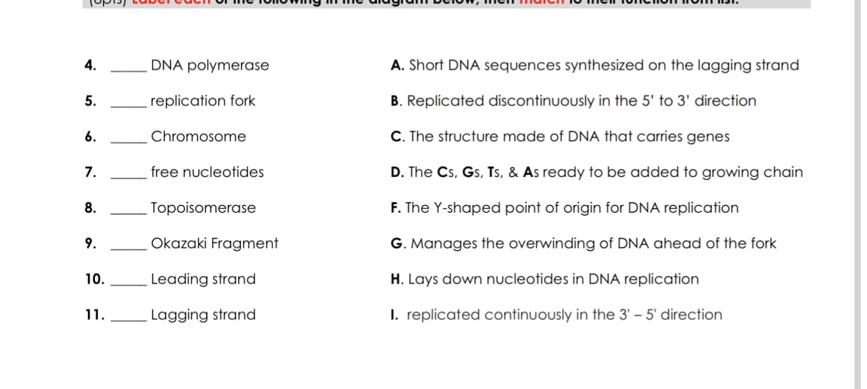 4.
DNA polymerase
A. Shorf DNA sequences synthesized on the lagging strand
5.
replication fork
B. Replicated discontinuously in the 5' to 3' direction
6.
Chromosome
C. The structure made of DNA that carries genes
7.
free nucleotides
D. The Cs, Gs, Ts, & As ready to be added to growing chain
8.
Topoisomerase
F. The Y-shaped point of origin for DNA replication
9.
Okazaki Fragment
G. Manages the overwinding of DNA ahead of the fork
10.
Leading strand
H. Lays down nucleotides in DNA replication
11.
Lagging strand
I. replicated continuously in the 3' – 5' direction
