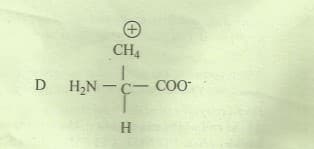 CH4
D
H2N - C- CO*
H
