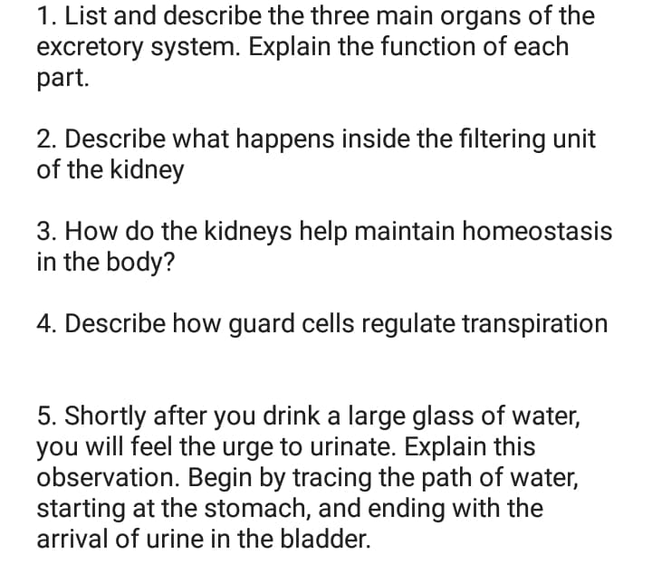 1. List and describe the three main organs of the
excretory system. Explain the function of each
part.
2. Describe what happens inside the filtering unit
of the kidney
3. How do the kidneys help maintain homeostasis
in the body?
4. Describe how guard cells regulate transpiration
5. Shortly after you drink a large glass of water,
you will feel the urge to urinate. Explain this
observation. Begin by tracing the path of water,
starting at the stomach, and ending with the
arrival of urine in the bladder.