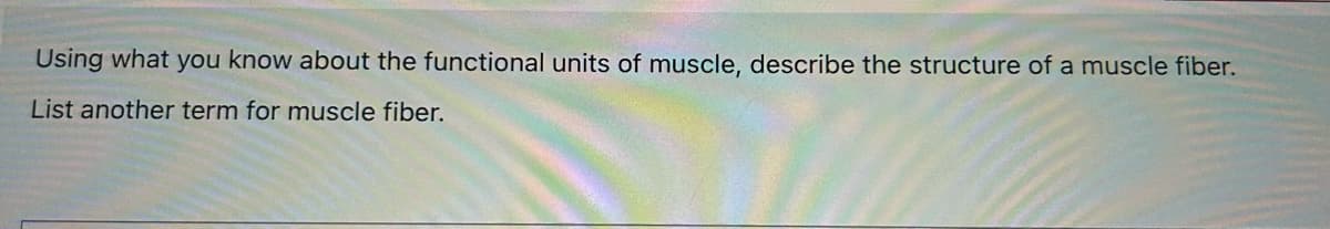 Using what you know about the functional units of muscle, describe the structure of a muscle fiber.
List another term for muscle fiber.