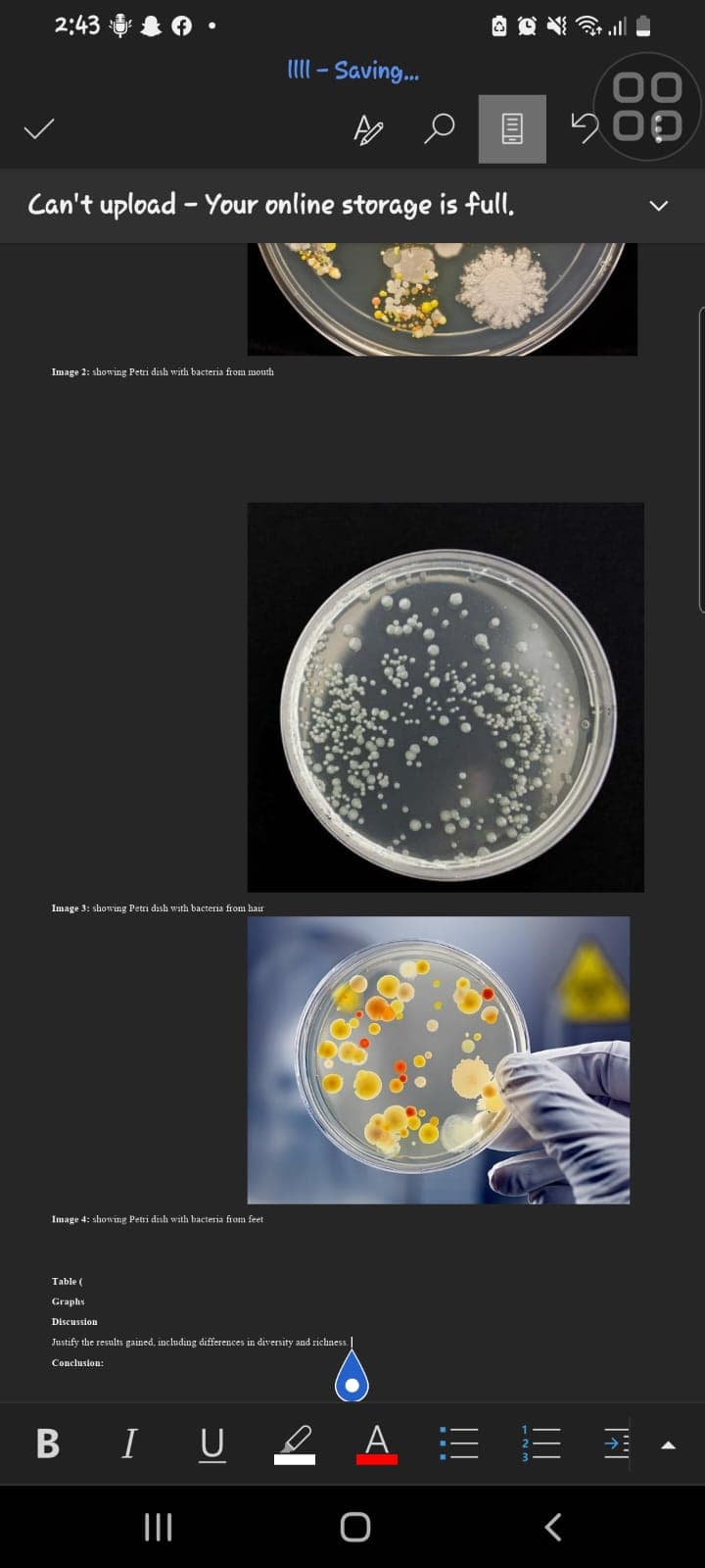 2:43
Can't upload - Your online storage is full.
Image 2: showing Petri dish with bacteria from mouth
Image 3: showing Petri dish with bacteria from hair
Image 4: showing Petri dish with bacteria from feet
Table (
Graphs
Discussion
Justify the results gained, including differences in diversity and richness
Conclusion:
IIII - Saving...
BIU
|||
A E
O
00
500
r
TAT