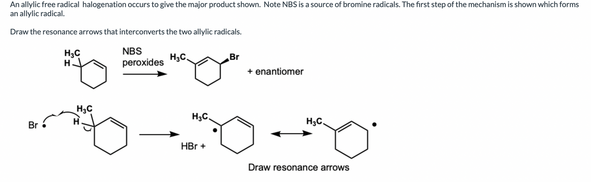 An allylic free radical halogenation occurs to give the major product shown. Note NBS is a source of bromine radicals. The first step of the mechanism is shown which forms
an allylic radical.
Draw the resonance arrows that interconverts the two allylic radicals.
H₂C
H
NBS
peroxides
H3C.
Br
+ enantiomer
H3C.
Draw resonance arrows
Br
H₂C
H
H3C.
HBr +