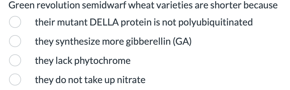 Green revolution semidwarf wheat varieties are shorter because
their mutant DELLA protein is not polyubiquitinated
they synthesize more gibberellin (GA)
they lack phytochrome
they do not take up nitrate
