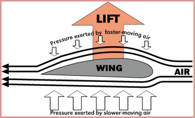 Pressure exerted by faster-moving air
LIFT
aressure exerted by faster-movie
WING
AIR
Pressure exerted by slower-moving air
