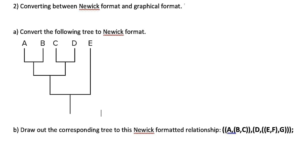 2) Converting between Newick format and graphical format.
a) Convert the following tree to Newick format.
ww ww
A
в с
D E
b) Draw out the corresponding tree to this Newick formatted relationship: ((A,(B,C)),(D,((E,F),G)));
