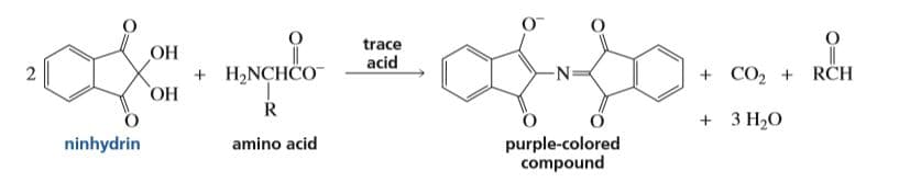 trace
OH
+ H2NCHCO
ОН
acid
+ CO, +
RCH
-N-
+ 3 H20
amino acid
purple-colored
compound
ninhydrin

