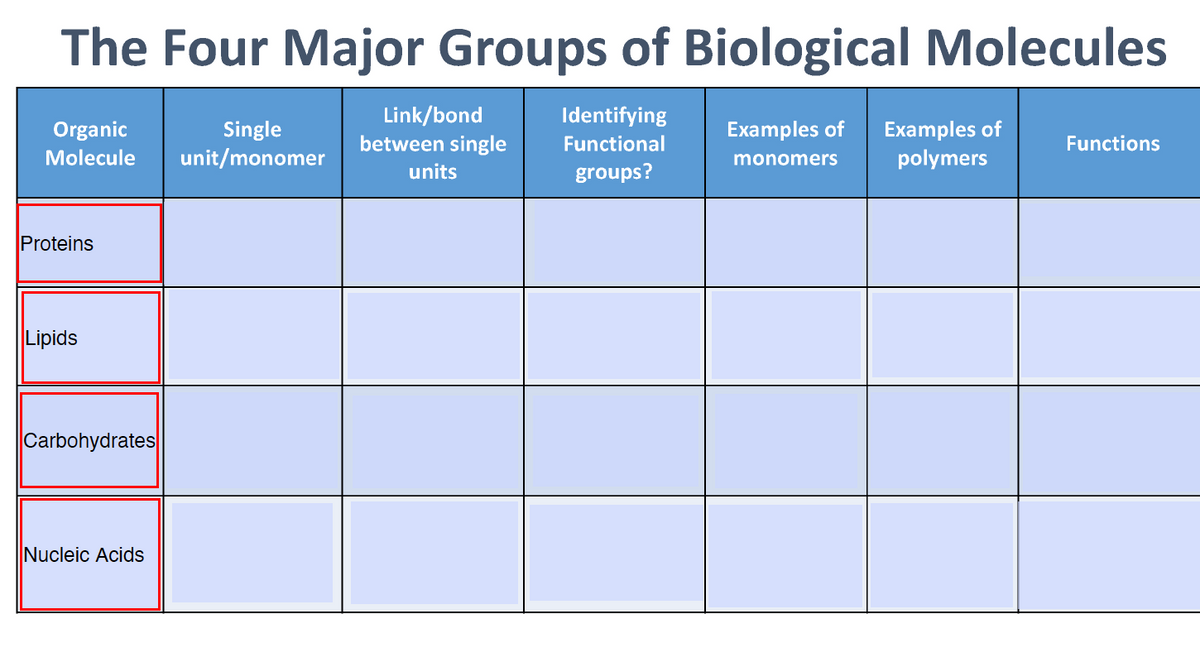 The Four Major Groups of Biological Molecules
Link/bond
between single
Identifying
Single
unit/monomer
Examples of
polymers
Organic
Examples of
Functional
Functions
Molecule
monomers
units
groups?
Proteins
Lipids
Carbohydrates
Nucleic Acids
