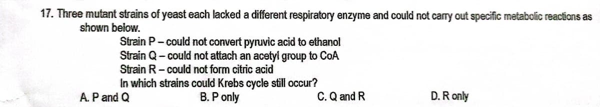 17. Three mutant strains of yeast each lacked a different respiratory enzyme and could not cary out specific metabolic reactions as
shown below.
Strain P- could not convert pyruvic acid to ethanol
Strain Q- could not attach an acetyl group to CoA
Strain R- could not form citric acid
In which strains could Krebs cycle still occur?
B. P only
A.P and Q
C. Q and R
D. R only
