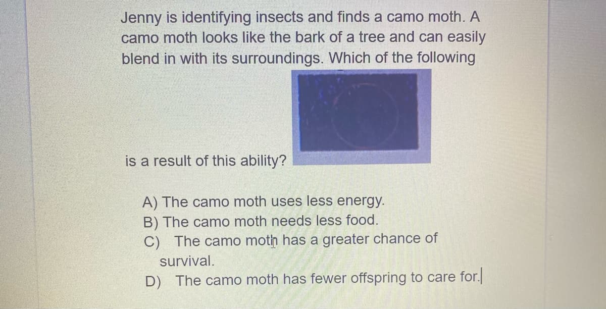 Jenny is identifying insects and finds a camo moth. A
camo moth looks like the bark of a tree and can easily
blend in with its surroundings. Which of the following
is a result of this ability?
A) The camo moth uses less energy.
B) The camo moth needs less food.
C) The camo moth has a greater chance of
survival.
D) The camo moth has fewer offspring to care for.
