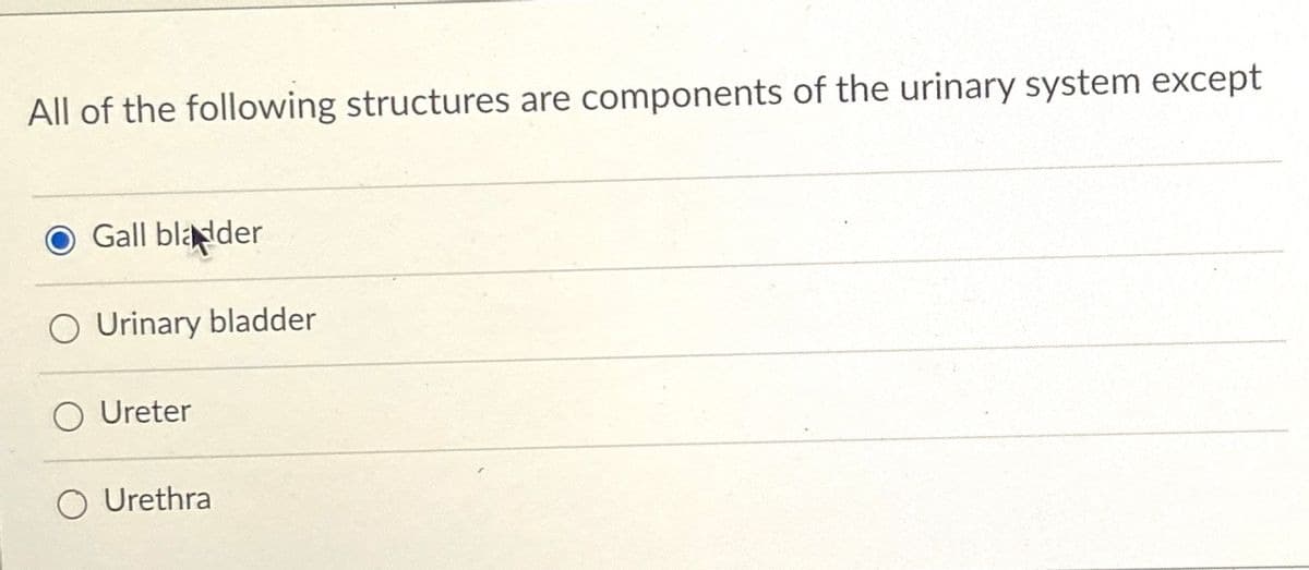 All of the following structures are components of the urinary system except
Gall blader
O Urinary bladder
O Ureter
Urethra
