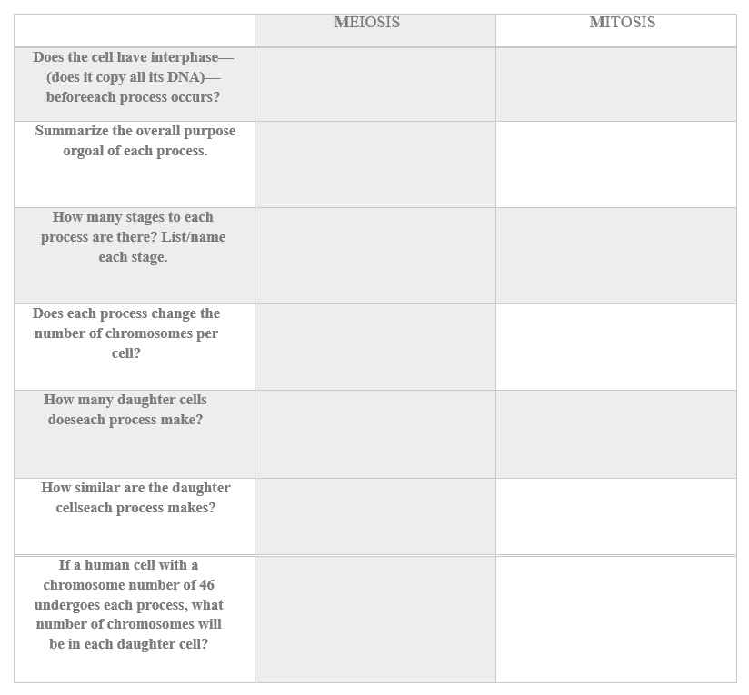 MEIOSIS
MITOSIS
Does the cell have interphase-
(does it copy all its DNA)–
beforeeach process occurs?
Summarize the overall purpose
orgoal of each process.
How many stages to each
process are there? List/name
each stage.
Does each process change the
number of chromosomes per
cell?
How many daughter cells
doeseach process make?
How similar are the daughter
cellseach process makes?
If a human cell with a
chromosome number of 46
undergoes each process, what
number of chromosomes will
be in each daughter cell?
