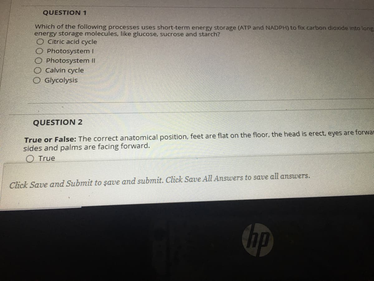 QUESTION 1
Which of the following processes uses short-term energy storage (ATP and NADPH) to fix carbon dioxide into long
energy storage molecules, like glucose, sucrose and starch?
Citric acid cycle
Photosystem I
Photosystem Il
Calvin cycle
Glycolysis
QUESTION 2
True or False: The correct anatomical position, feet are flat on the floor, the head is erect, eyes are forwa
sides and palms are facing forward.
O True
Click Save and Submit to şave and submit. Click Save All Answers to save all answers.
