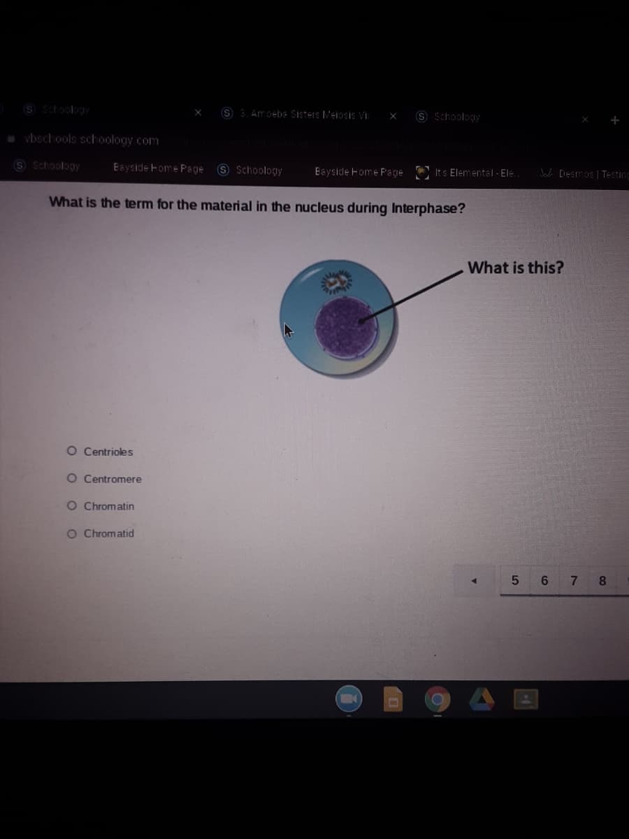 S Shoology
S S Am gelbe Sisters Meiosis Vi
S Schoology
a vbschools schoology com
S Schoology
Eayside Fome Page S Schoology
Bayside Fome Page Its Elemental - Ele.
Ja Desmos | Testing
What is the term for the material in the nucleus during Interphase?
What is this?
O Centrioles
O Centromere
O Chromatin
O Chromatid
5 6
7.
