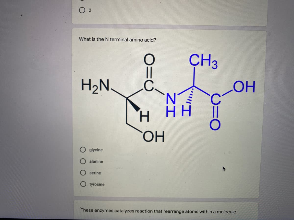 What is the N terminal amino acid?
CH3
H2N
N.
H.
ОН
glycine
alanine
serine
tyrosine
These enzymes catalyzes reaction that rearrange atoms within a molecule
