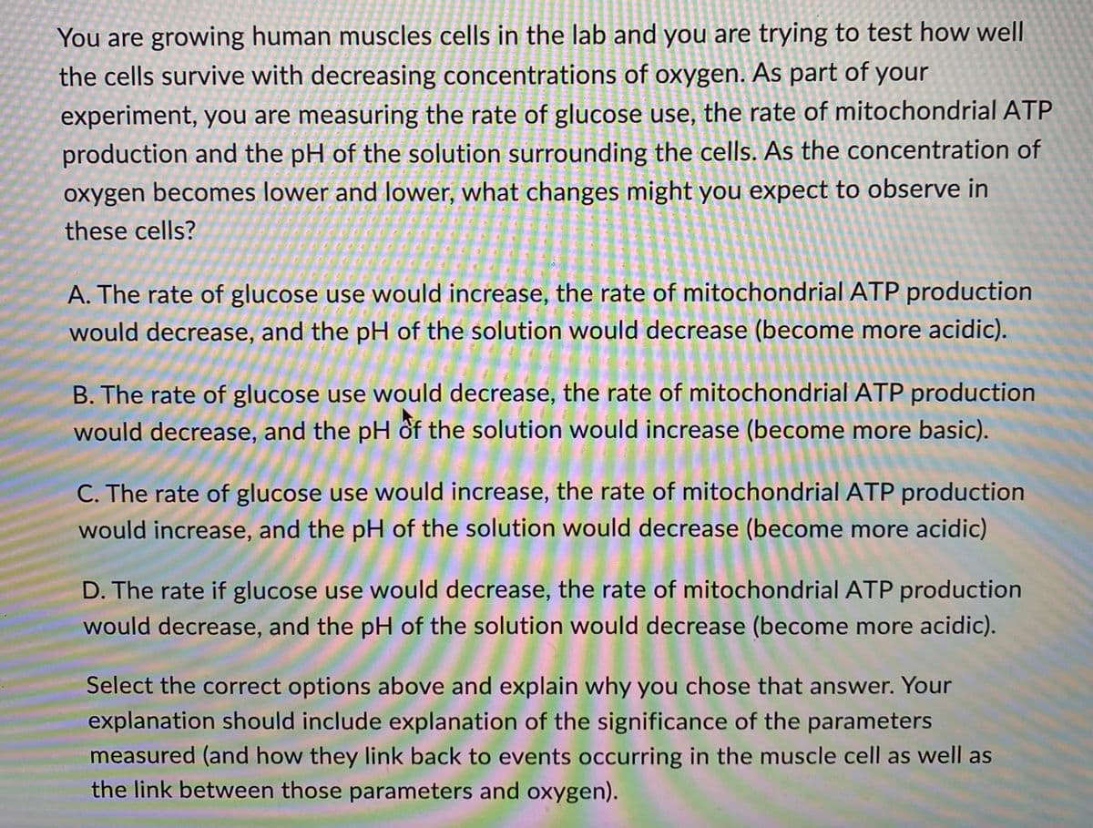 You are growing human muscles cells in the lab and you are trying to test how well
the cells survive with decreasing concentrations of oxygen. As part of your
experiment, you are measuring the rate of glucose use, the rate of mitochondrial ATP
production and the pH of the solution surrounding the cells. As the concentration of
oxygen becomes lower and lower, what changes might you expect to observe in
these cells?
A. The rate of glucose use would increase, the rate of mitochondrial ATP production
would decrease, and the pH of the solution would decrease (become more acidic).
B. The rate of glucose use would decrease, the rate of mitochondrial ATP production
would decrease, and the pH of the solution would increase (become more basic).
C. The rate of glucose use would increase, the rate of mitochondrial ATP production
would increase, and the pH of the solution would decrease (become more acidic)
D. The rate if glucose use would decrease, the rate of mitochondrial ATP production
would decrease, and the pH of the solution would decrease (become more acidic).
Select the correct options above and explain why you chose that answer. Your
explanation should include explanation of the significance of the parameters
measured (and how they link back to events occurring in the muscle cell as well as
the link between those parameters and oxygen).