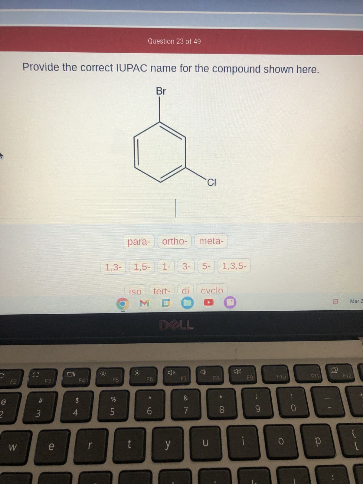 2
F2
W
Provide the correct IUPAC name for the compound shown here.
#
3
F3
e
Oll
F4
$
4
1,3-
·0.
F5
do in
Question 23 of 49
iso
t
para- ortho- meta-
1,5-1-3-
M
F6
Br
A
6
31
tert- di cvclo
C
DELL
y
CI
F7
&
7
5- 1,3,5-
3
F8
*
8
F9
9
D
F10
O
0
F11
Р
8
Mar 2
F12
+
{
[