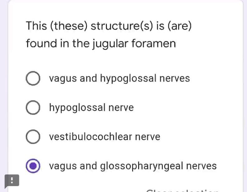 This (these) structure(s) is (are)
found in the jugular foramen
vagus and hypoglossal nerves
O hypoglossal nerve
O vestibulocochlear nerve
vagus and glossopharyngeal nerves
