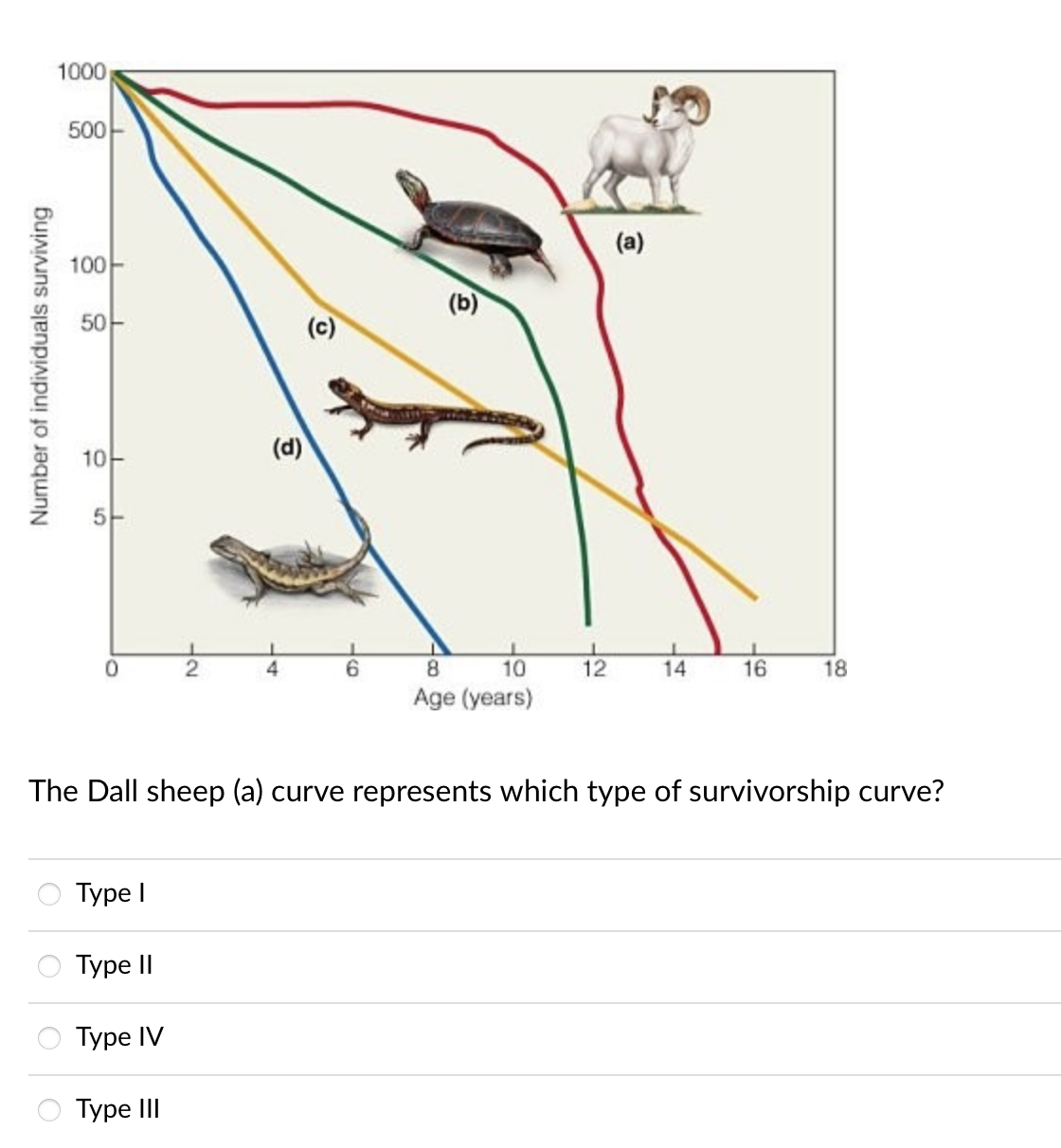 Number of individuals surviving
1000
500
100
50
0
Type I
Type II
Type IV
2
Type III
(d)
4
(c)
6
(b)
8
10
Age (years)
12
(a)
14
The Dall sheep (a) curve represents which type of survivorship curve?
1
16
18