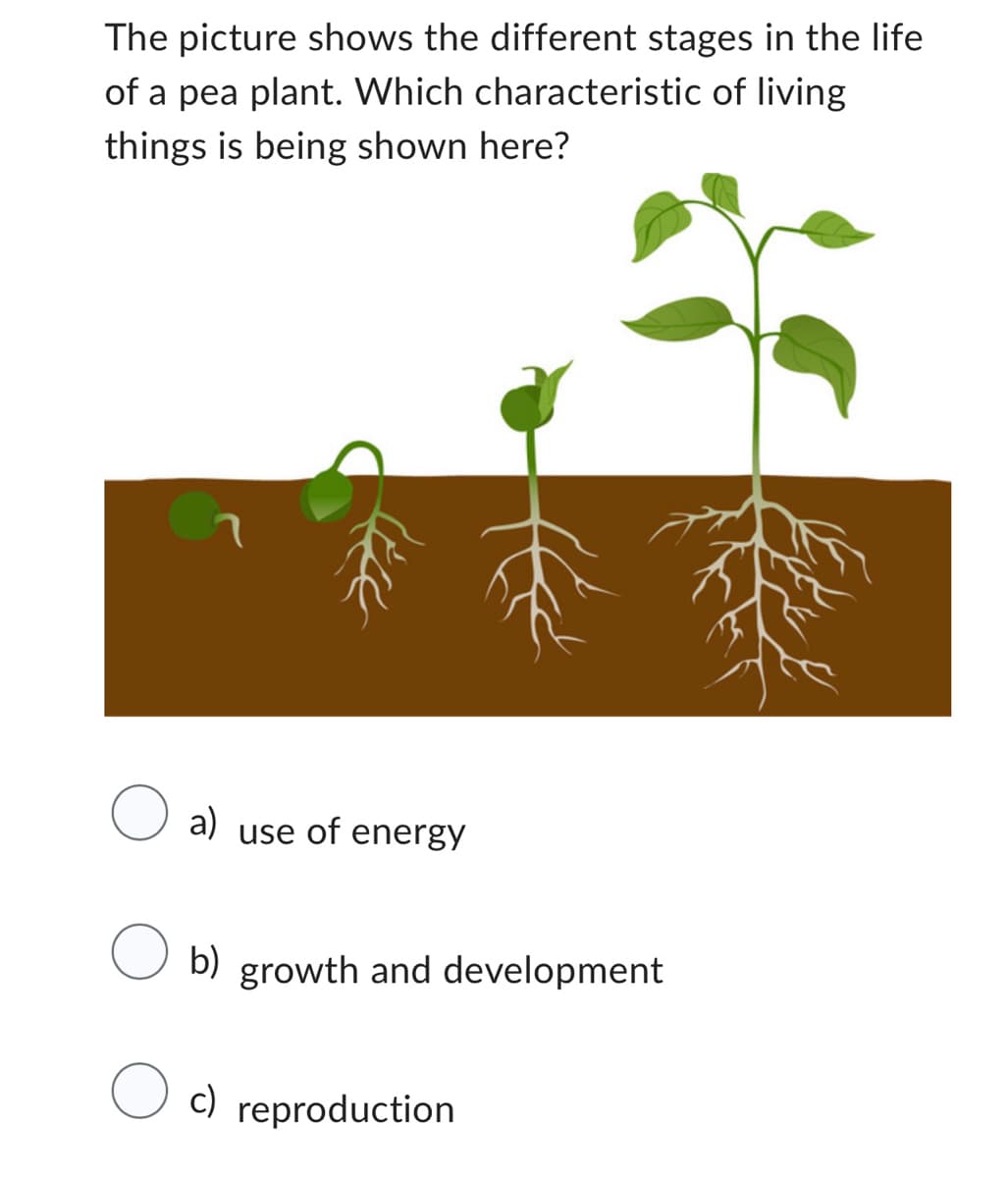 The picture shows the different stages in the life
of a pea plant. Which characteristic of living
things is being shown here?
a) use of energy
b) growth and development
Oc) reproduction
