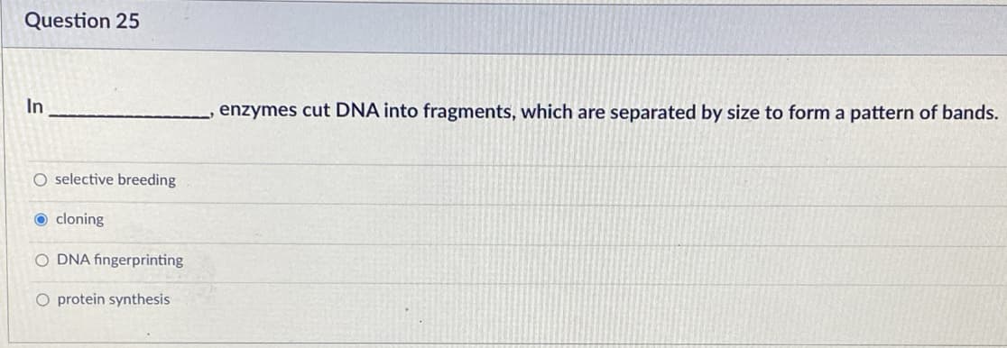 Question 25
In
enzymes cut DNA into fragments, which are separated by size to form a pattern of bands.
O selective breeding
O cloning
O DNA fingerprinting
O protein synthesis
