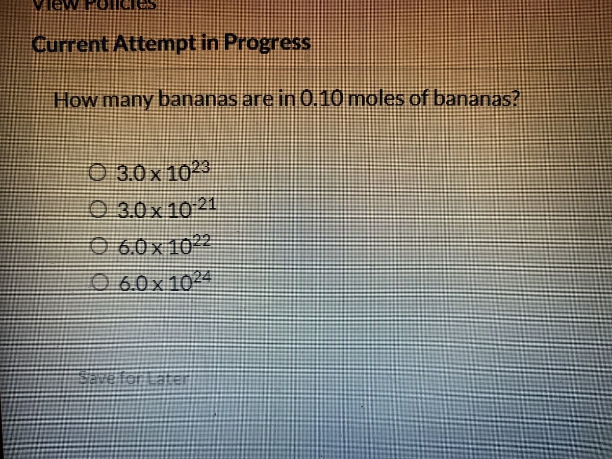 Current Attempt in Progress
How many bananas are in 0.10 moles of bananas?
O 3.0 x 1023
O 3.0 x 10 21
O 6.0 x 1022
O 6.0x 1024
Save for Later
