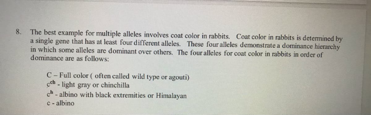 The best example for multiple alleles involves coat color in rabbits. Coat color in rabbits is determined by
a single gene that has at least four different alleles. These four alleles demonstrate a dominance hierarchy
in which some alleles are dominant over others. The four alleles for coat color in rabbits in order of
dominance are as follows:
8.
C-Full color ( often called wild type or agouti)
cen- light gray or chinchilla
ch
- albino with black extremities or Himalayan
C- albino
