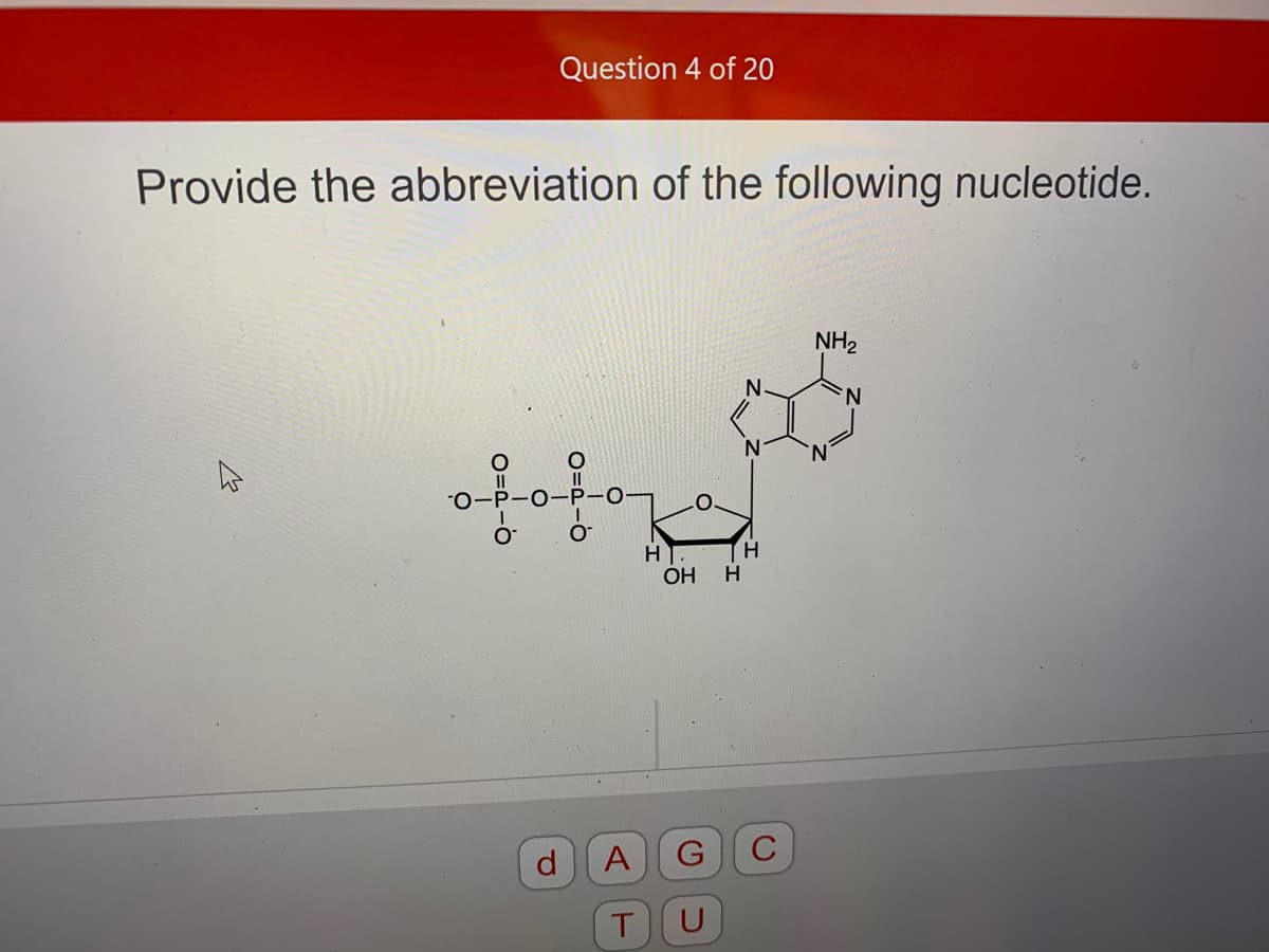 Question 4 of 20
Provide the abbreviation of the following nucleotide.
NH2
N.
H
OH
d.
A
T
U
