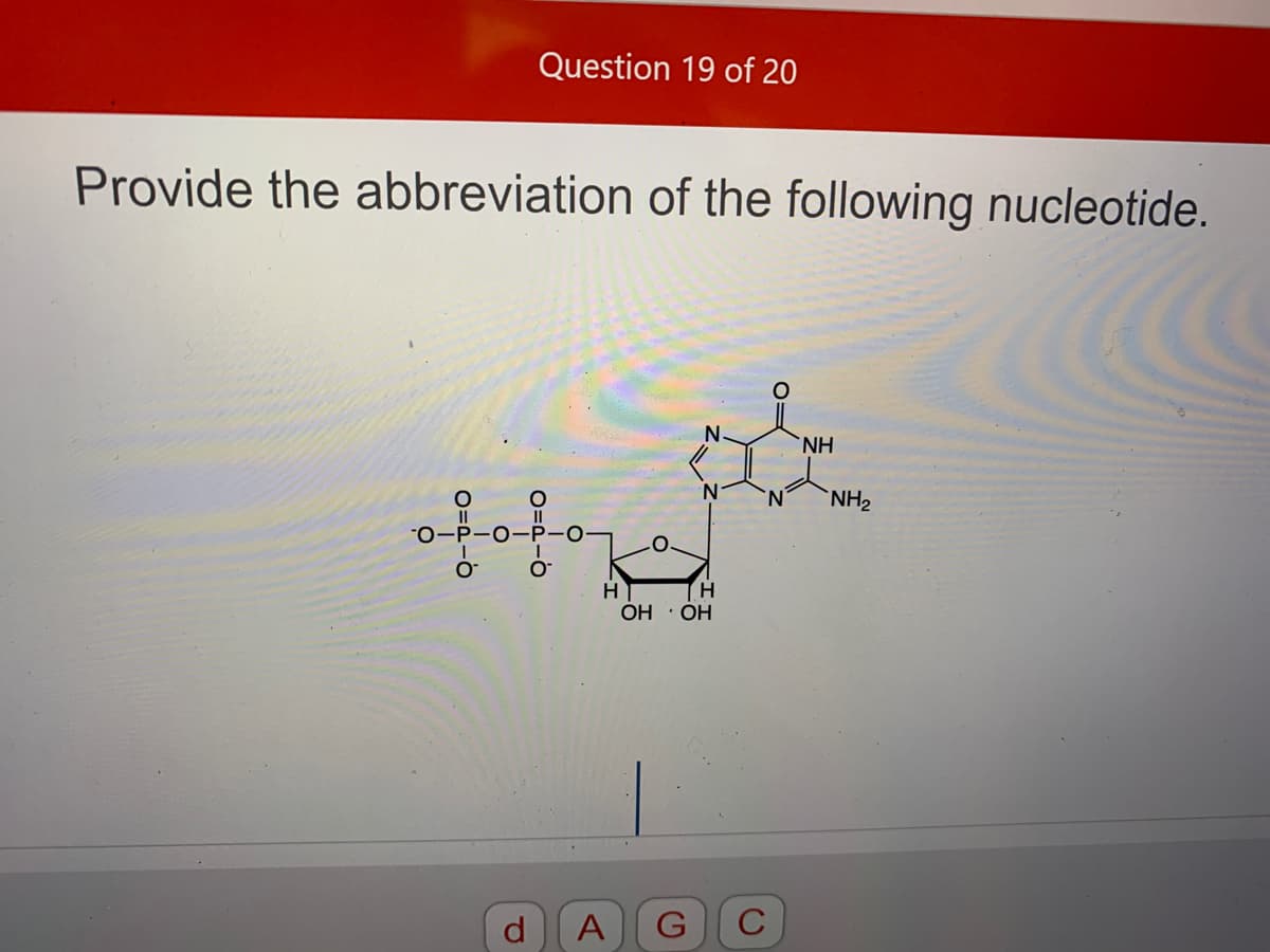 Question 19 of 20
Provide the abbreviation of the following nucleotide.
NH
NH2
H
OH · OH
d.
A
G
C
O=d-O
