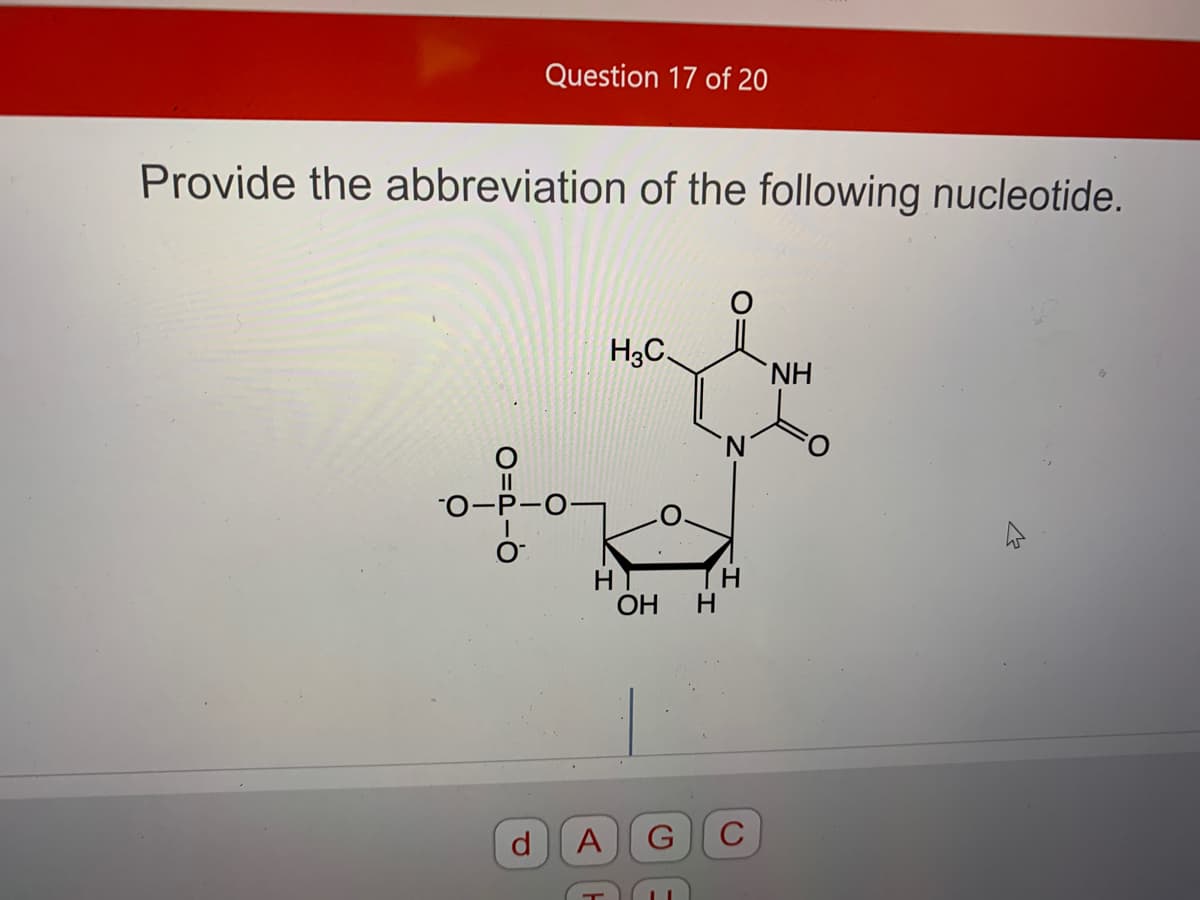 Question 17 of 20
Provide the abbreviation of the following nucleotide.
H3C,
H.
II
"0-P-0¬
H
OH
H
H.
A
