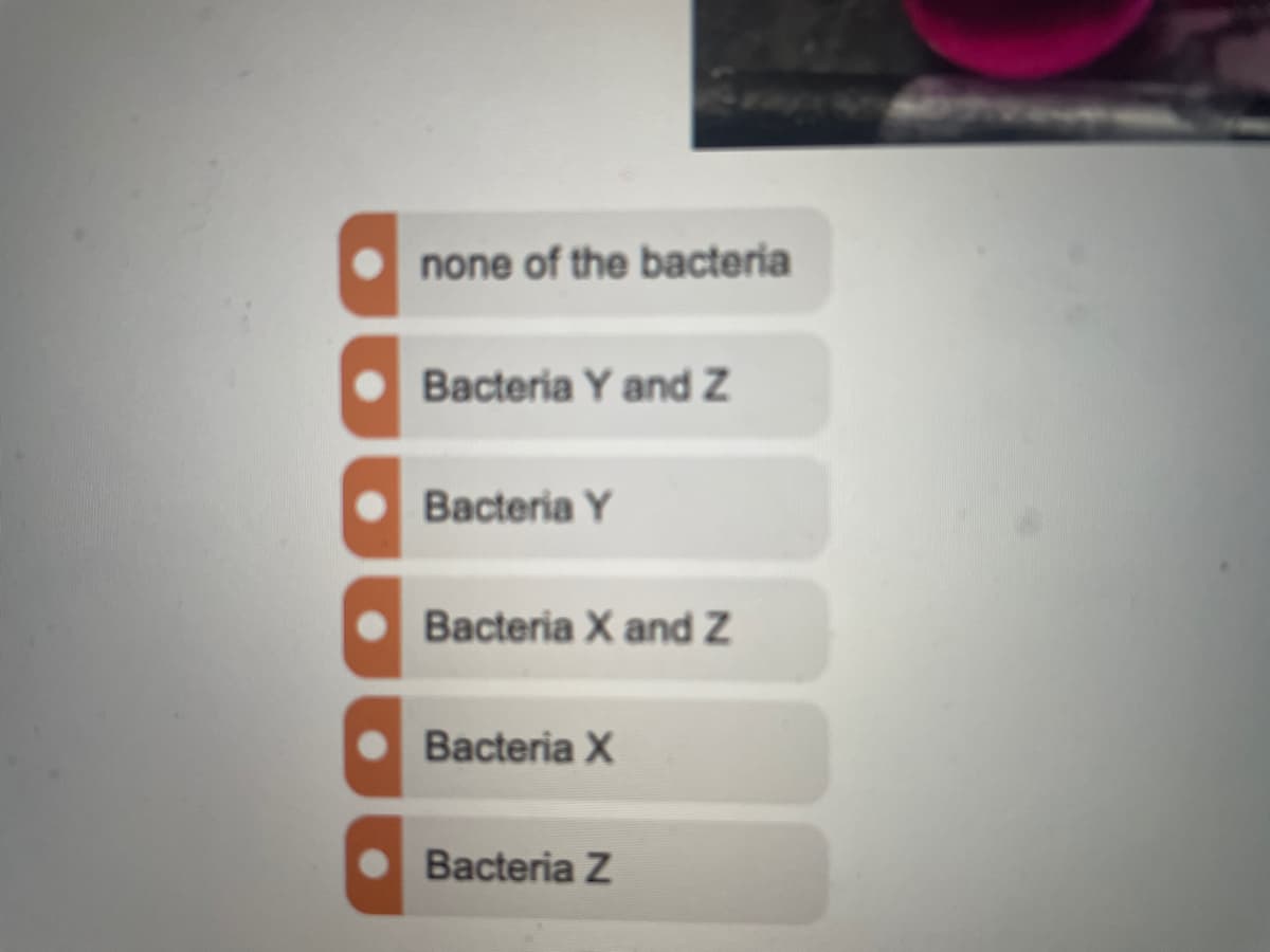 none of the bacteria
Bacteria Y and Z
Bacteria Y
Bacteria X and Z
Bacteria X
Bacteria Z
