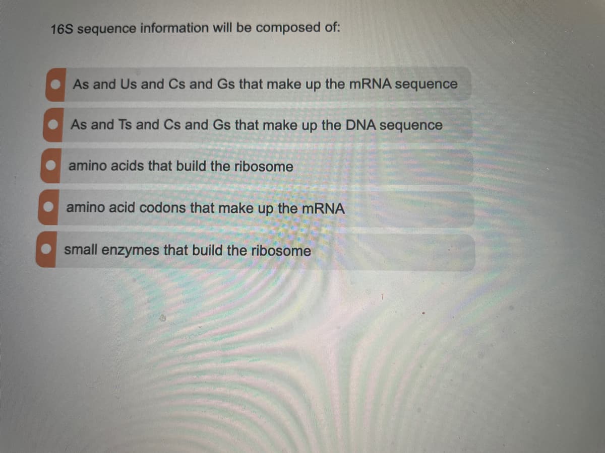 16S sequence information will be composed of:
As and Us and Cs and Gs that make
the mRNA sequence
dn
As and Ts and Cs and Gs that make up the DNA sequence
amino acids that build the ribosome
amino acid codons that make up the mRNA
small enzymes that build the ribosome
