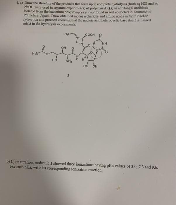 1. a) Draw the structure of the products that form upon complete hydrolysis (both aq HCl and aq
NaOH were used in separate experiments) of polyoxin A (1), an antifungal antibiotic
isolated from the bacterium Streptomyces cacaoi found in soil collected in Kumamoto
Prefecture, Japan. Draw obtained monosaccharides and amino acids in their Fischer
projection and proceed knowing that the nucleic acid heterocyclic base itself remained
intact in the hydrolysis experiments.
H3C
COOH
NH
OH
H2N
но
NH2
но
OH
b) Upon titration, molecule 1 showed three ionizations having pKa values of 3.0, 7.3 and 9.6.
For cach pKa, write its corresponding ionization reaction.
ts
