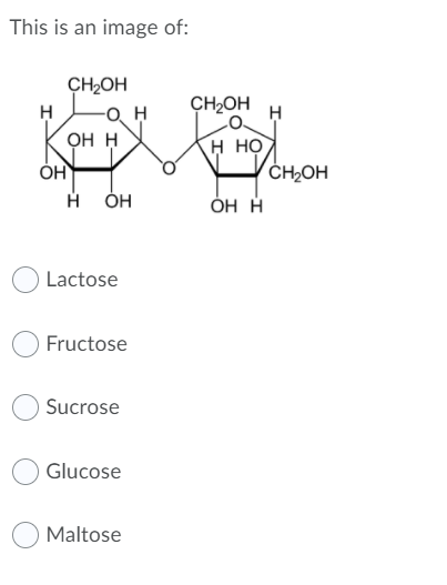 This is an image of:
CH2OH
-Q, H
CH2OH
онн
н но
CH2OH
н он
ÓH H
Lactose
Fructose
Sucrose
Glucose
Maltose
