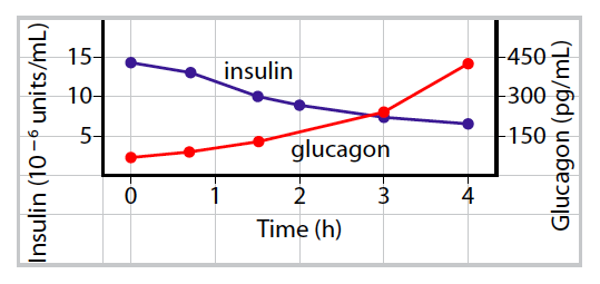 15-
-450
insulin
10-
-300
5-
150
glucagon
2
3
4
Time (h)
Insulin (10-6 units/mL)
Glucagon (pg/mL)
